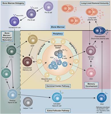 Frontiers | Challenges And Opportunities For Consistent Classification ...